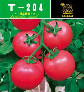 T-204——番茄种子