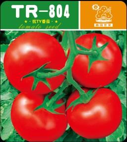 TR-804——番茄种子