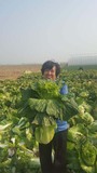 微信图片_20190916171759.jpg