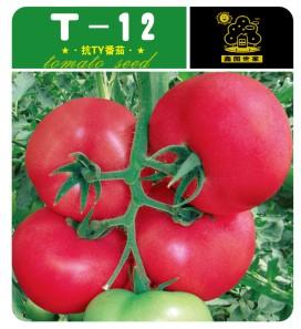 T-12——番茄种子